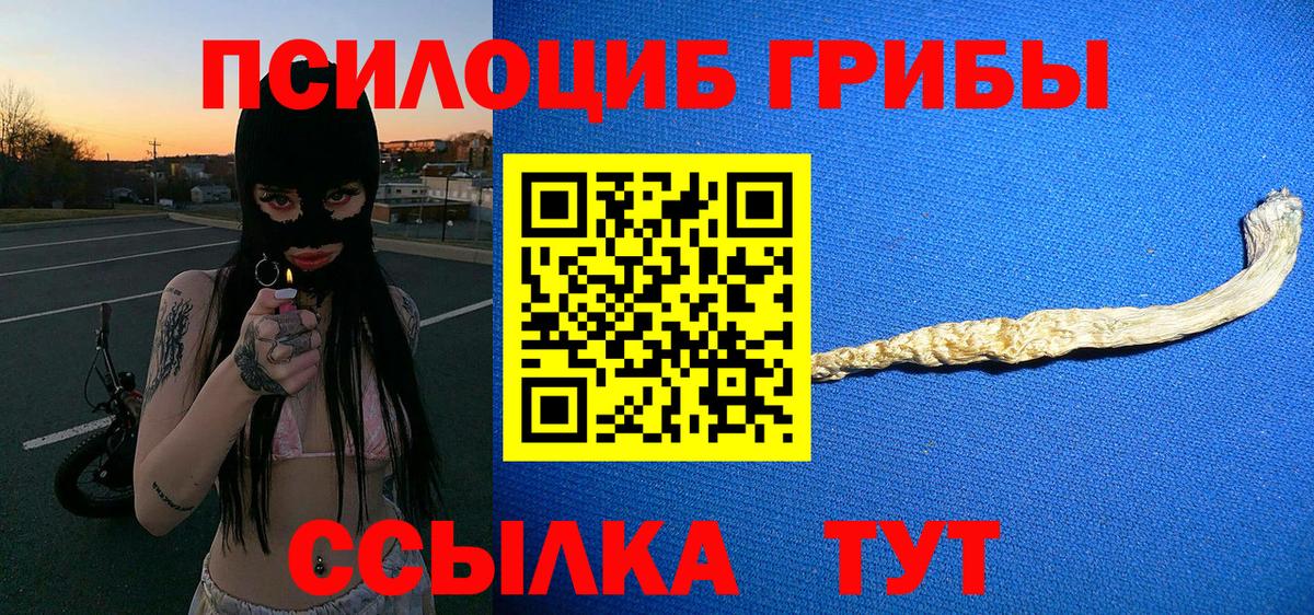 Псилоцибиновые грибы Psilocybe Лосино-Петровский
